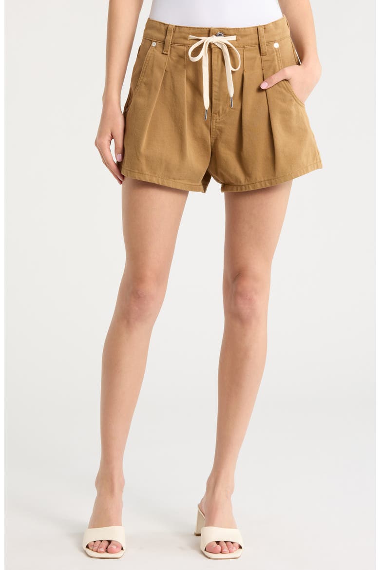Drawstring Waist Pleated Cotton Twill Shorts, Main, color, ICED TEA