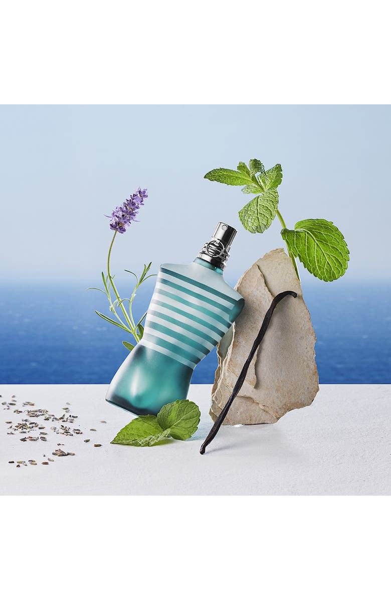 Jean Paul Gaultier Le Male Eau de Toilette Set USD $100 Value, Alternate, color,