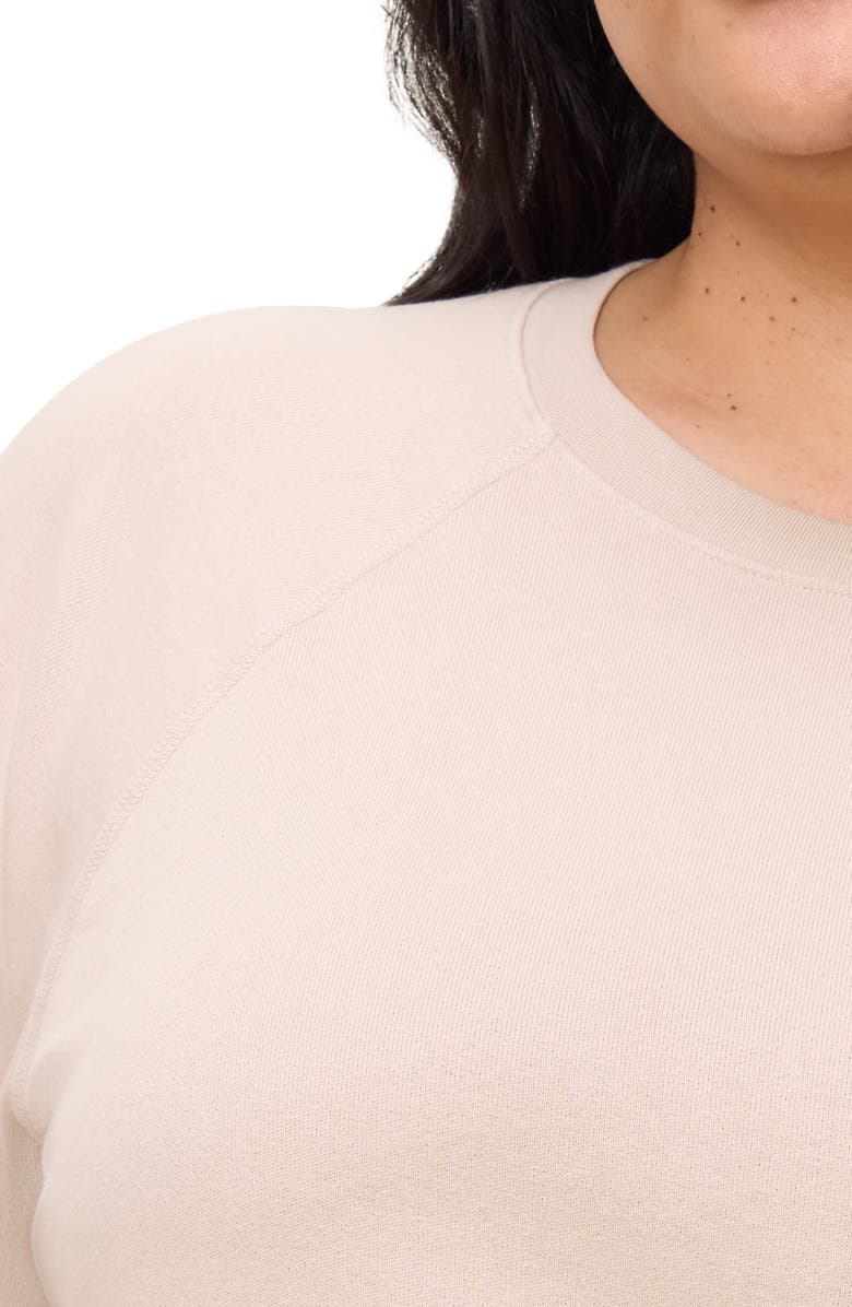 The Standard Stitch The Raglan Sweatshirt, Alternate, color, Oat