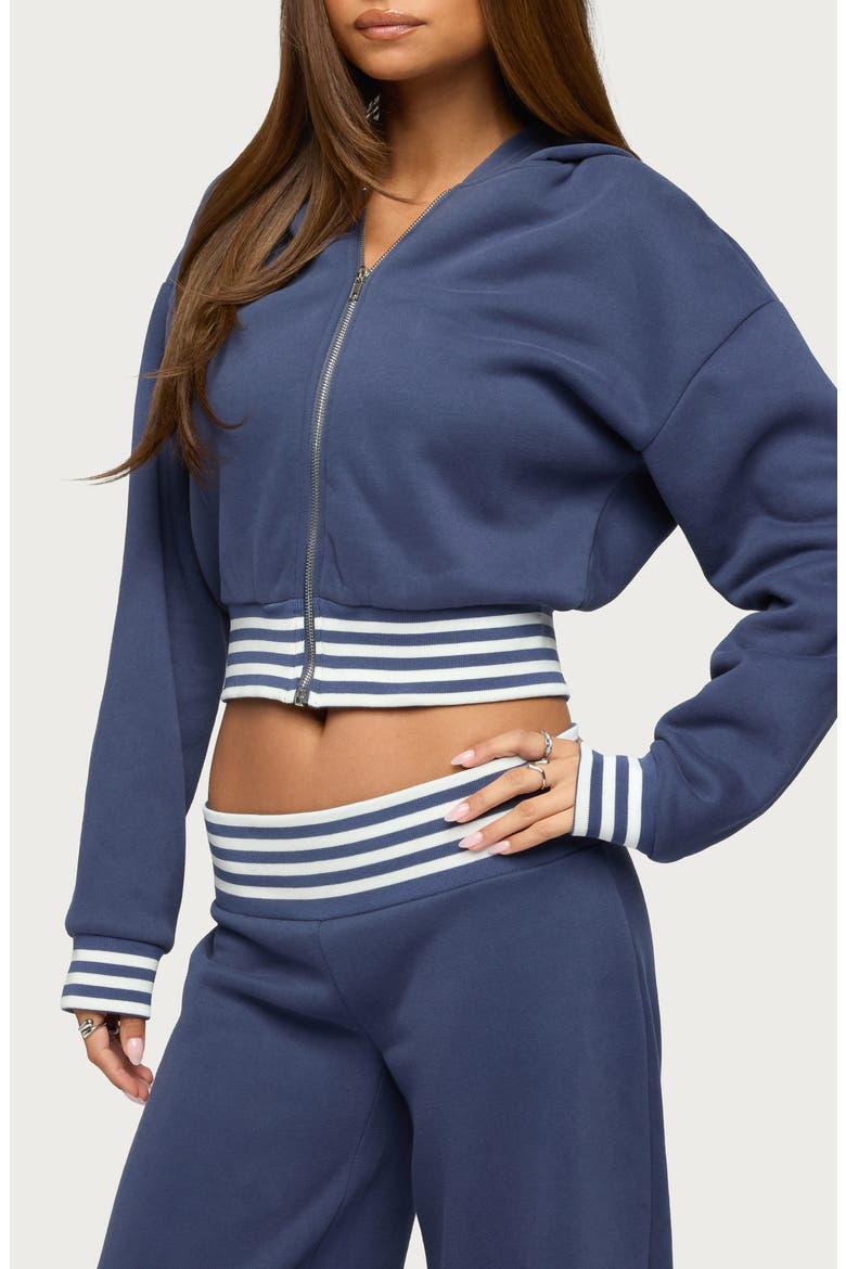 Eloura Stripe Detail Zip-Up Hoodie, Alternate, color, NAVY