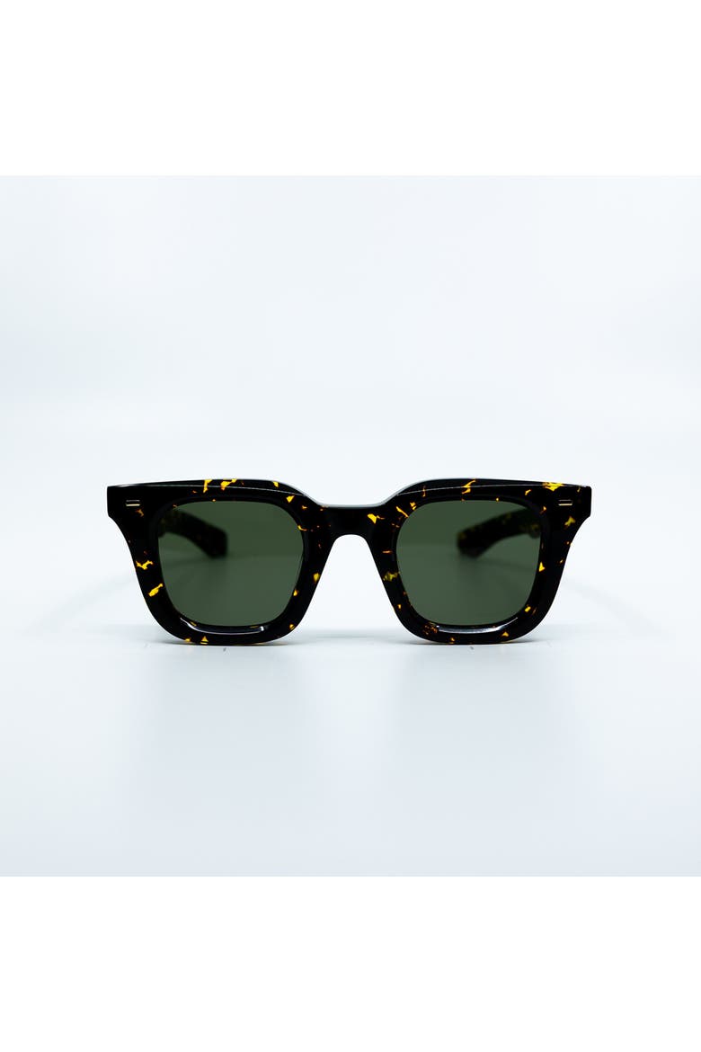 Zid Havana Sunglasses, Main, color, Green