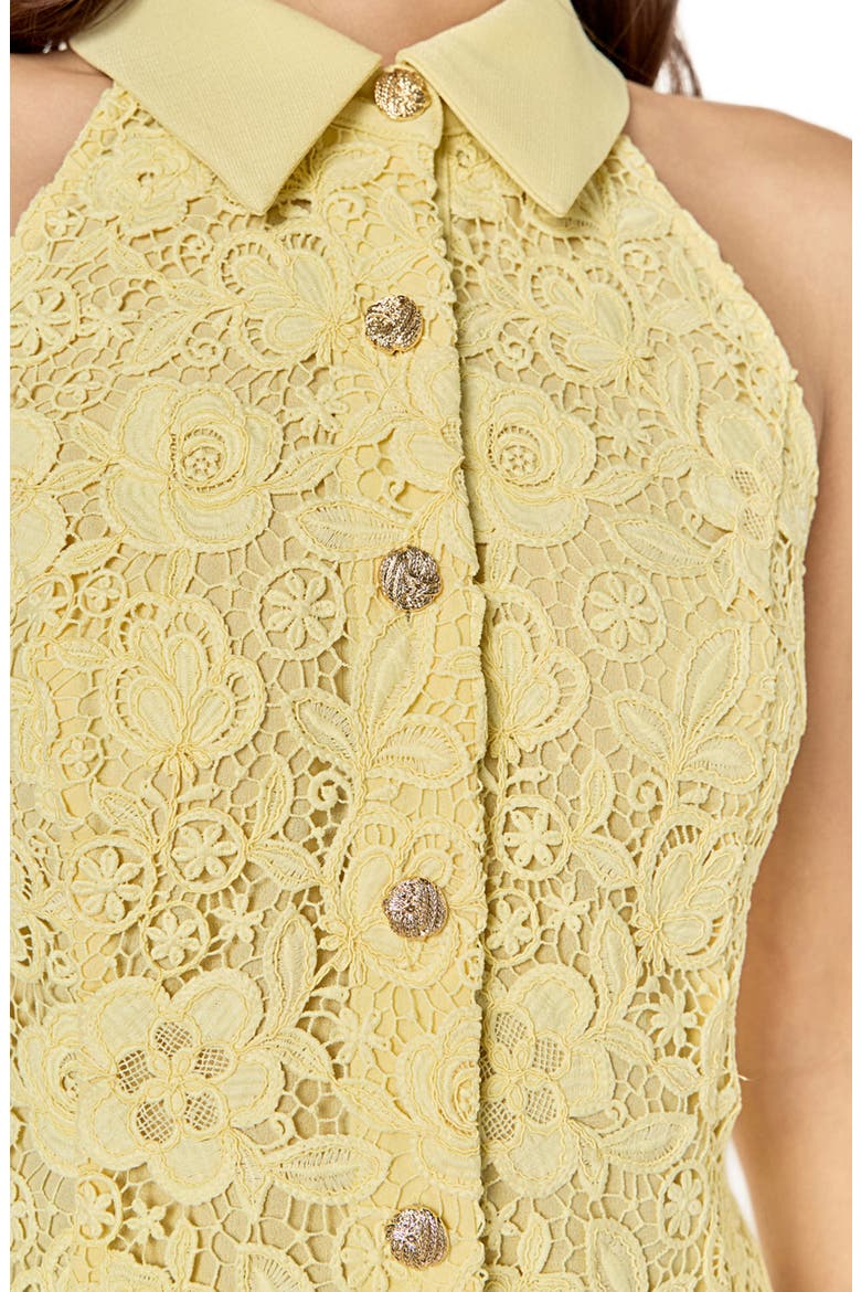 Floral Lace Sleeveless Button-Up Shirt, Alternate, color, BUTTER YELLOW