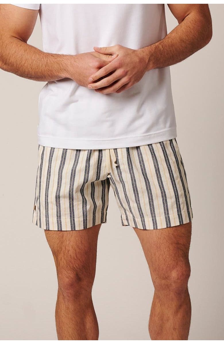 LEISURE LAB Catalina Shorts, Main, color, Blue Stripes