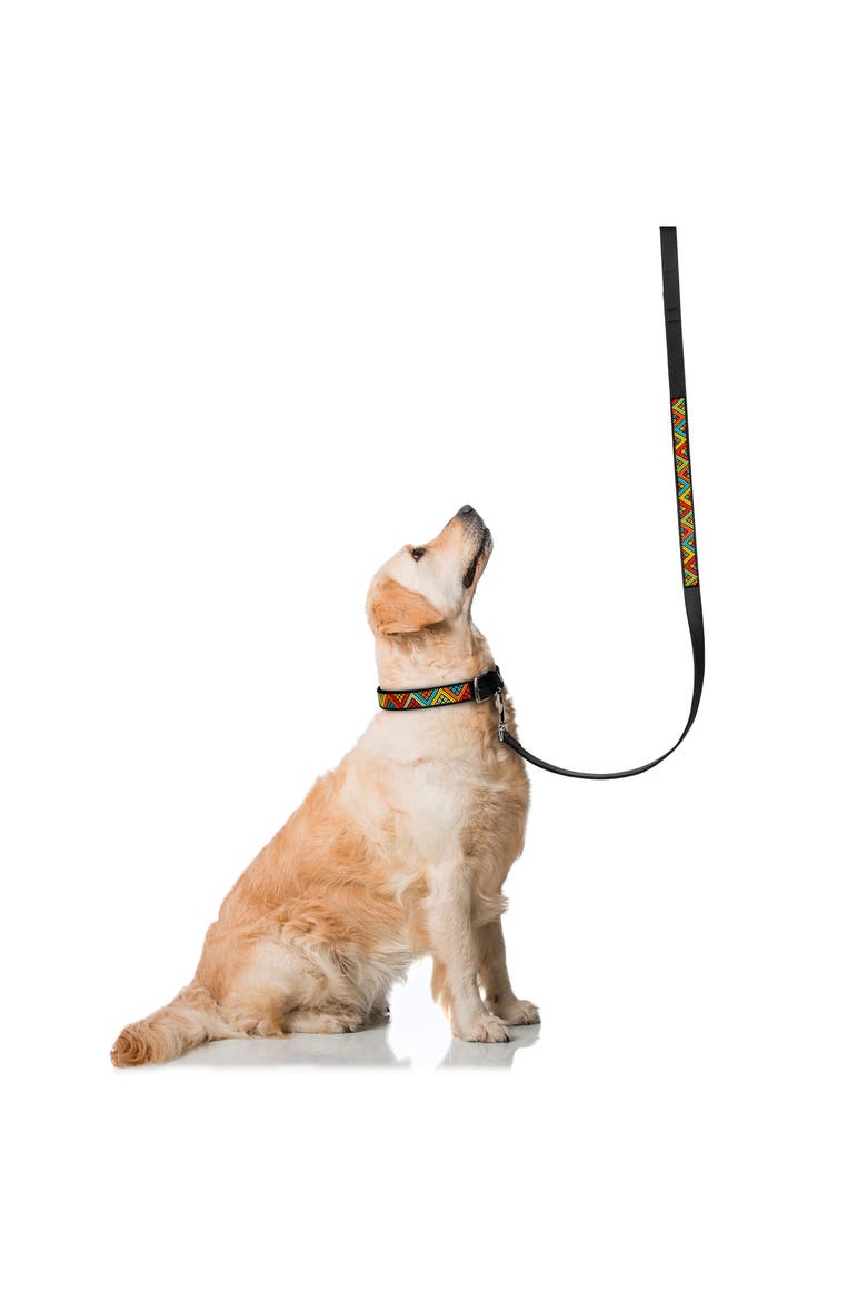 Beaded Leather Pet Leash, Alternate, color, POP ART
