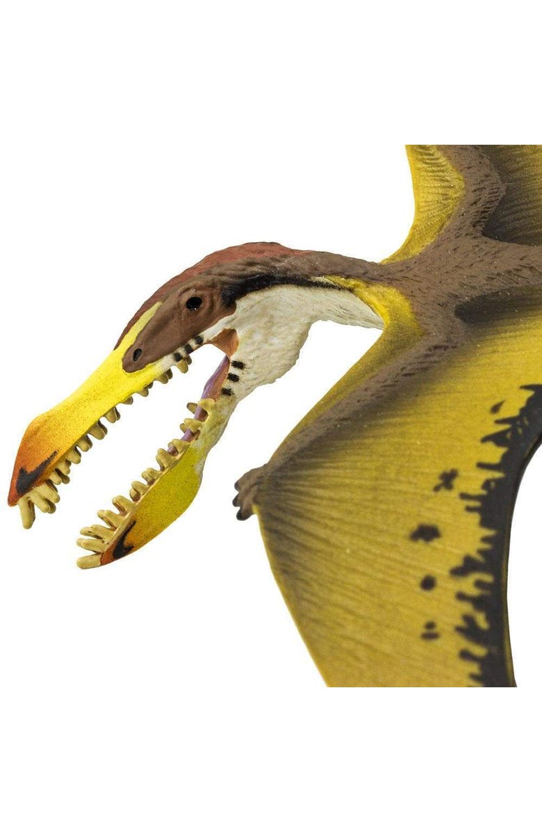 Safari Ltd. Pterosaur Kids Prehistoric/Dinosaur Toy Figure, Alternate, color, NO COLOR