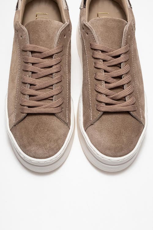 Forever & Always Shoes Anabel Leather Platform Sneakers In Multi