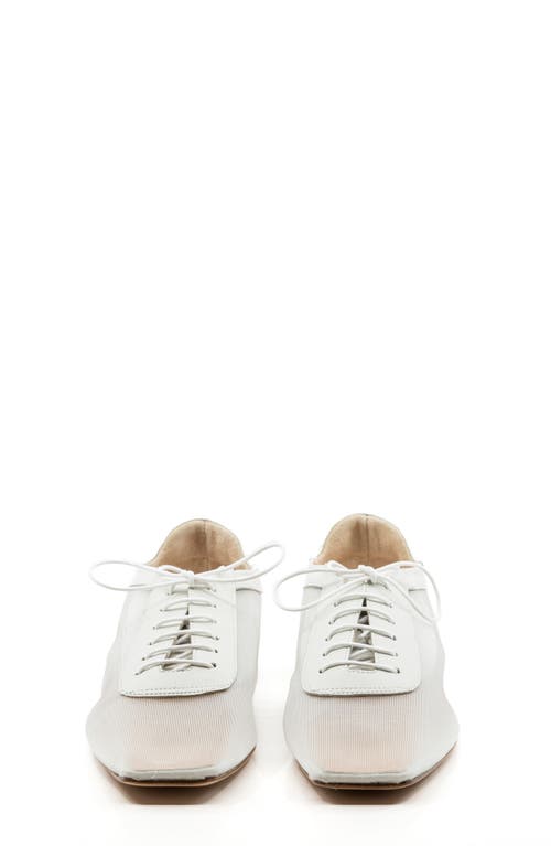 Andrea Gomez Antonia Leather-mesh Oxford Flats In White