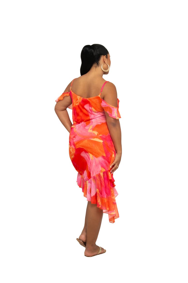 Plus Size Floral Print Mesh Midi Dress, Alternate, color, Pink