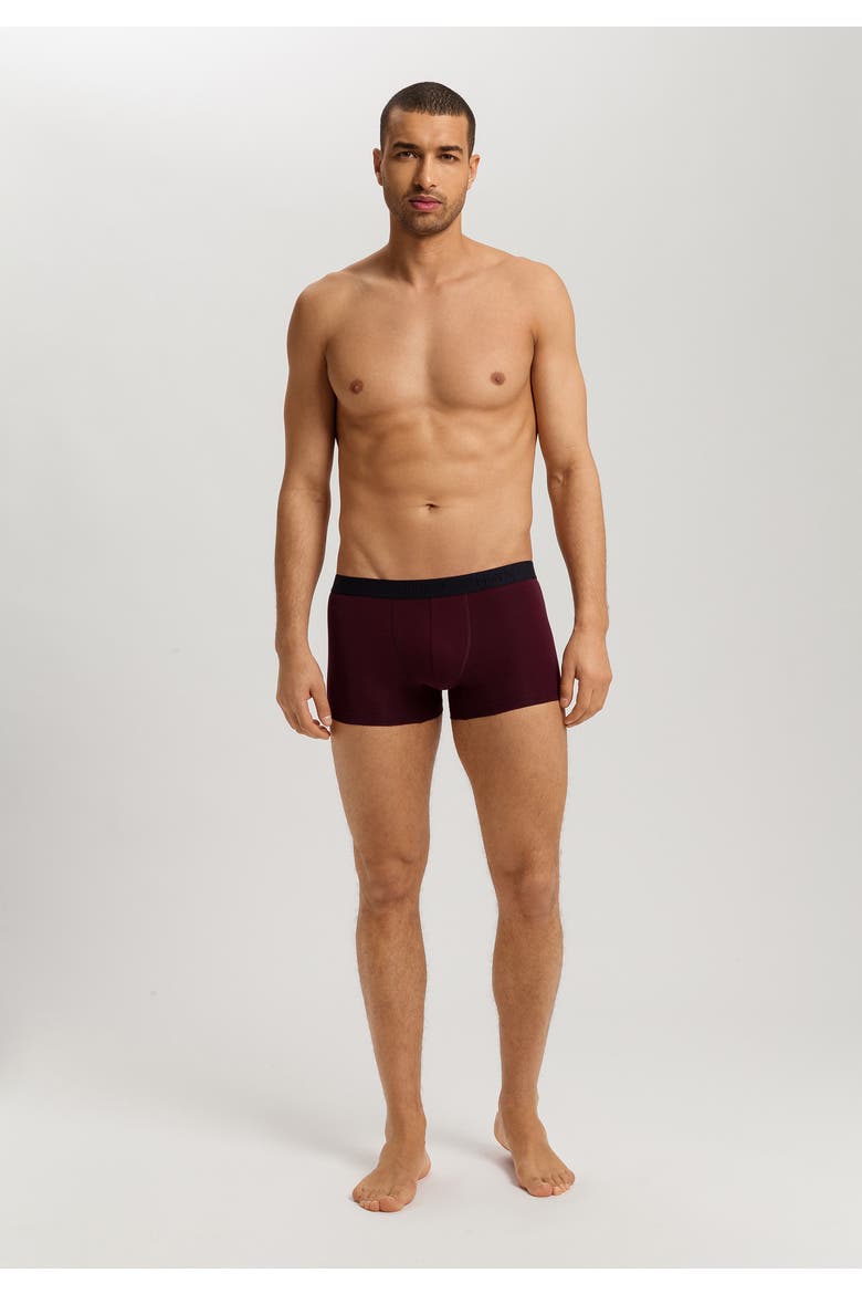 Cotton Essentials 2-Pack Cotton Boxer Briefs, Alternate, color, Barolo / Ombre Blue
