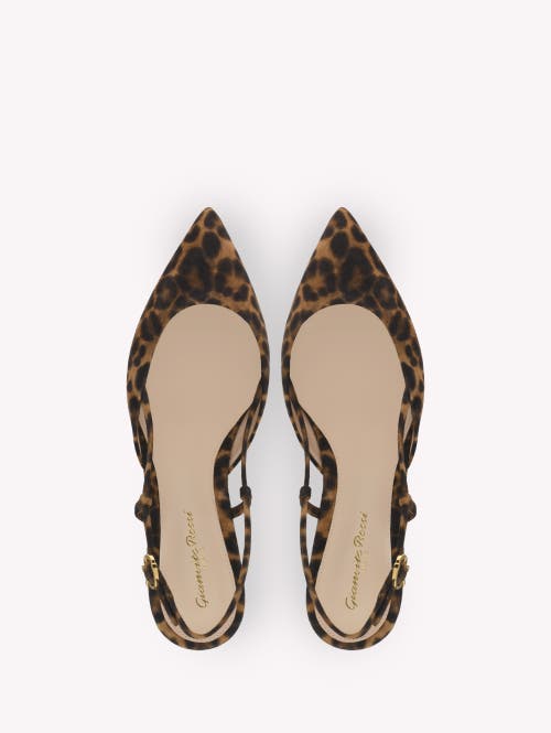 Shop Gianvito Rossi Ascent 05 Slingback In Brown