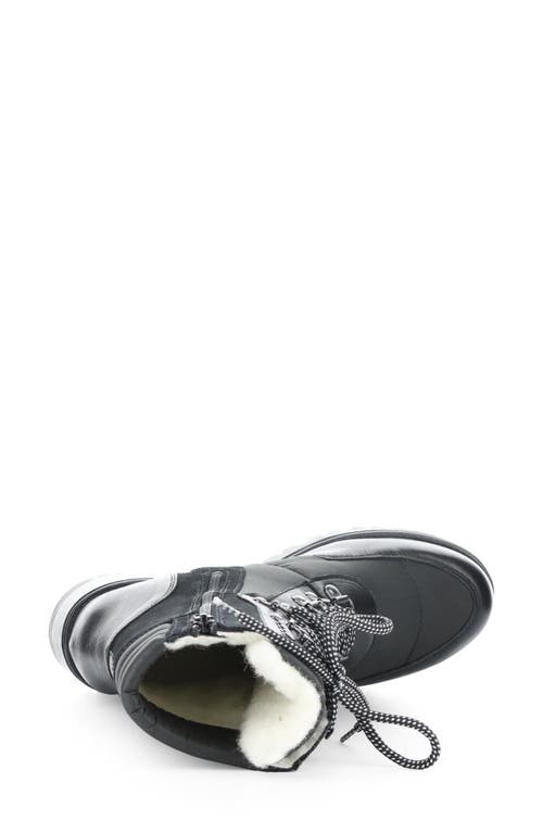 Bos. & Co. Greer Prima Waterproof Suede Boot