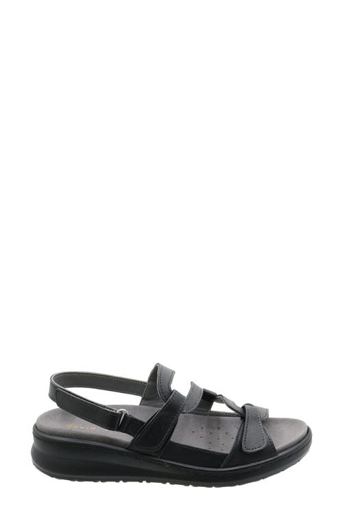 David Tate Femme Wedge Sandal In Black