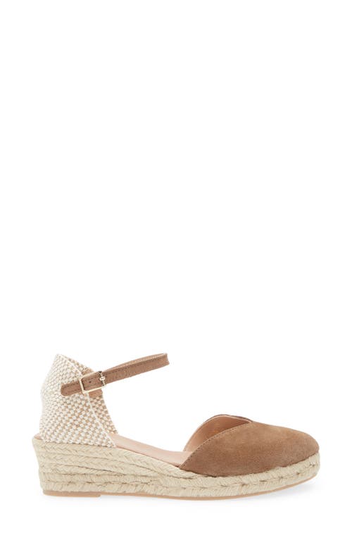Cordani Elliana Ankle Strap Platform Wedge Espadrille In Fango Suede