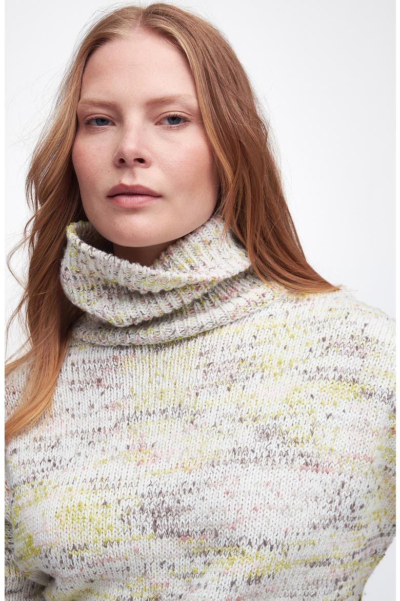 Berryman Marled Cotton Blend Turtleneck Sweater, Alternate, color, MULTI