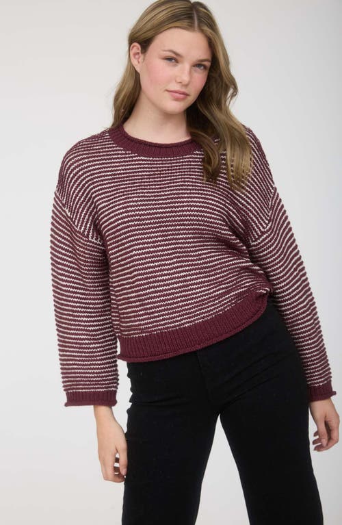 Blu Pepper Rib Trim Sweater In Brown