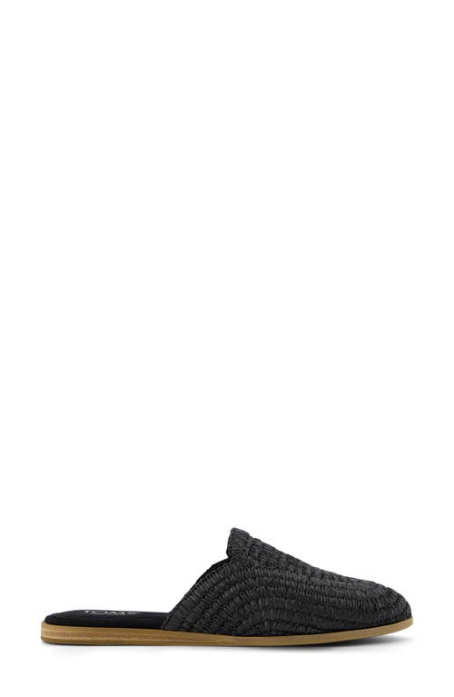TOMS TOMS JADE MULE 