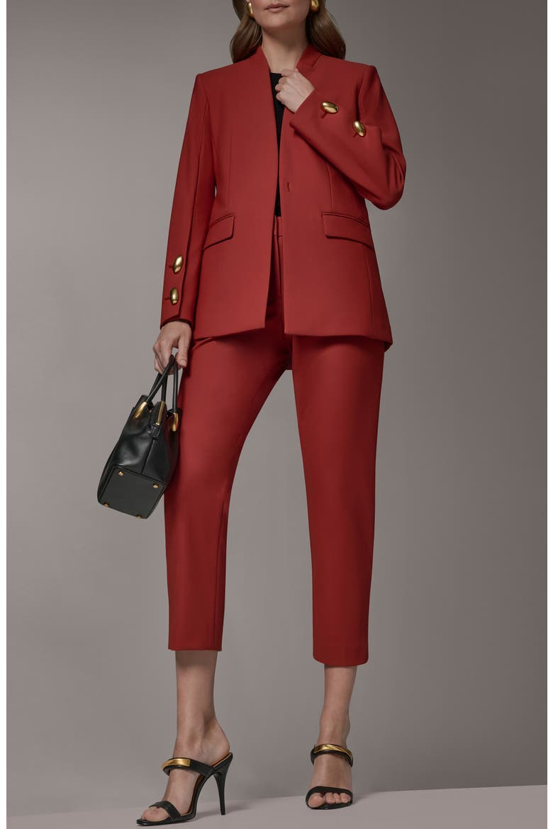 Button Cuff Blazer, Alternate, color, SUNBAKED