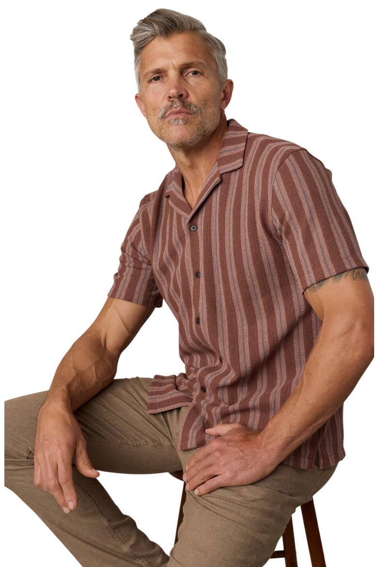 Oasis Button-Up Camp Shirt, Alternate, color, AUTUMN SKY STRIPE