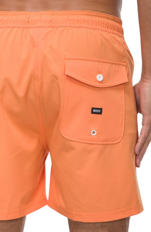 Reef Marzo Swim Trunks