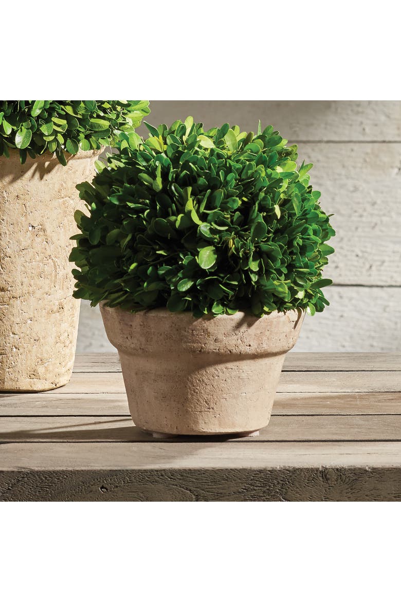 Boxwood Ball In Pot Medium, Alternate, color, Beige