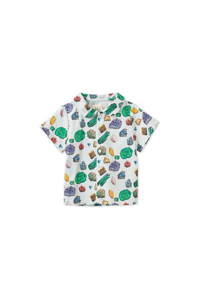 Vild House of Little Vild Lab No.12 - Earth Rocks!, Organic Cotton Woven Collared Shirt, Main, color, No. 12-Earth Rocks! Print
