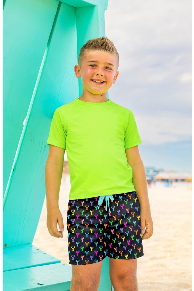 Boys Multicolor Lobsters Print Board Shorts, Alternate, color, Multicolor