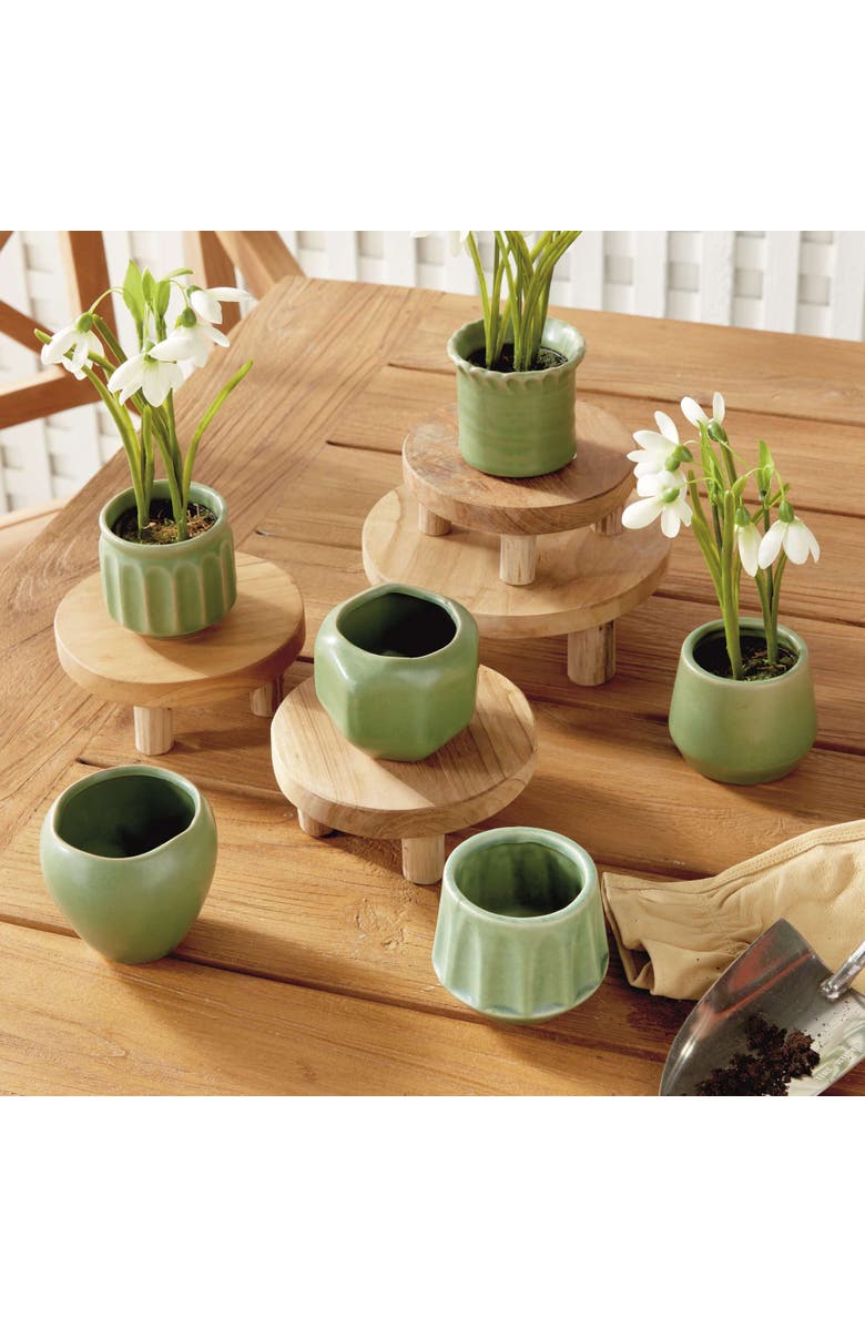 Napa Home & Garden DEZIE MINI POTS Set of 6, Alternate, color, Green