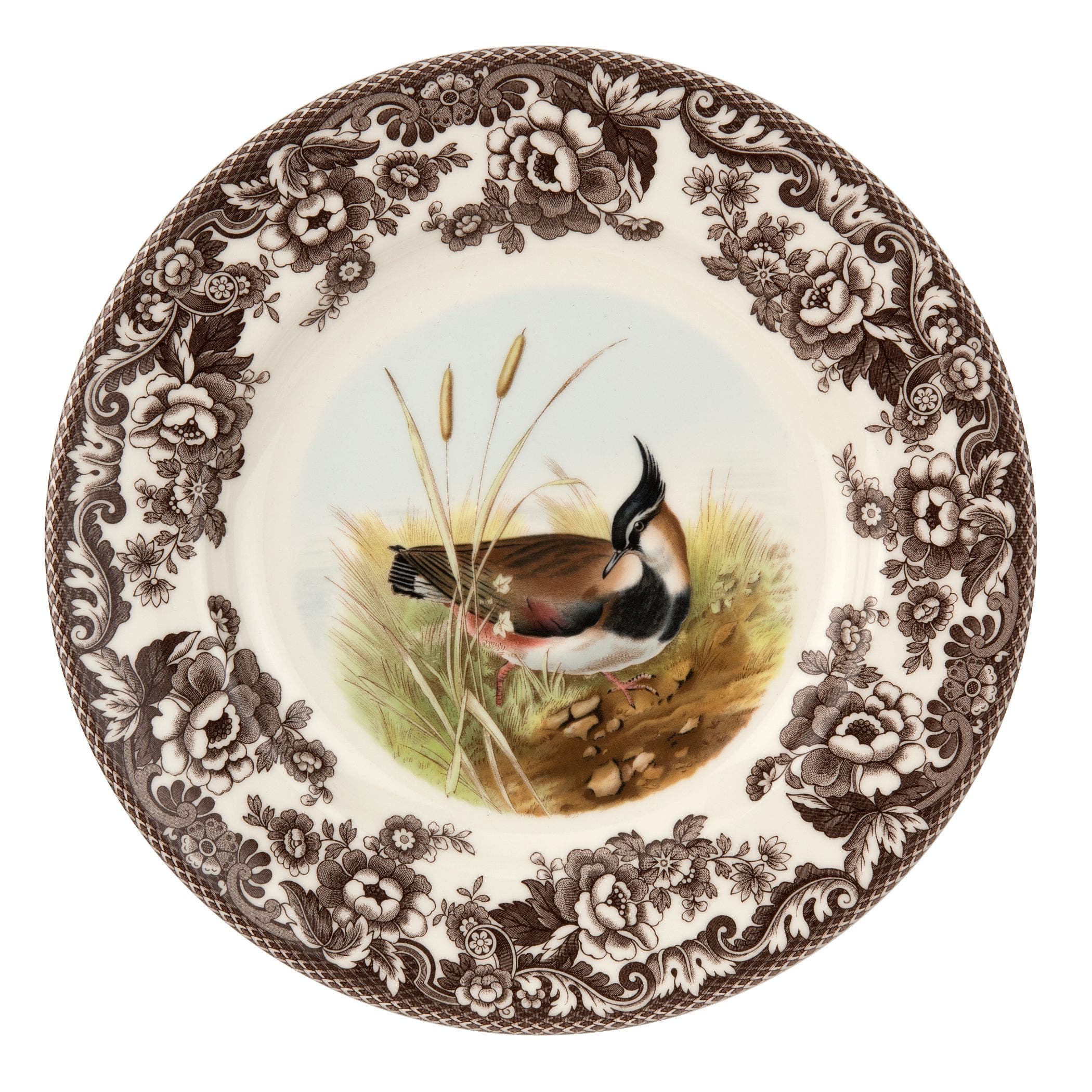 Lapwing