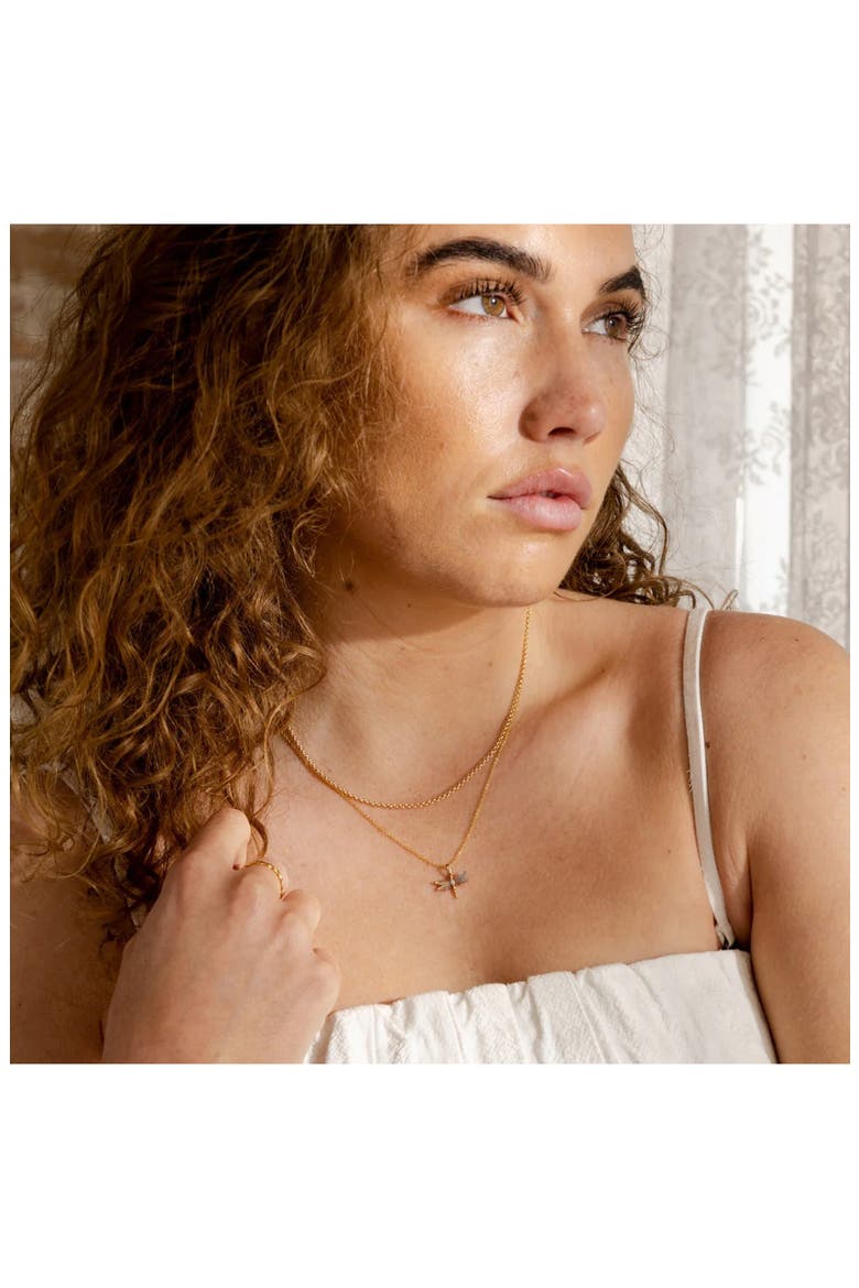 Rolo Chain Necklace, Alternate, color, GOLD FILLED