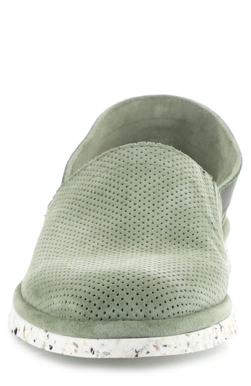 AMBITIOUS AMBITIOUS 11162 PERFORATED LOAFER
