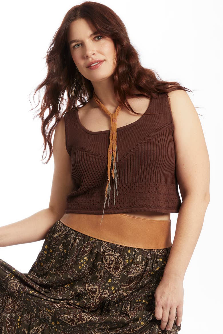 Pointelle Cropped Sweater, Alternate, color, CHESTNUT