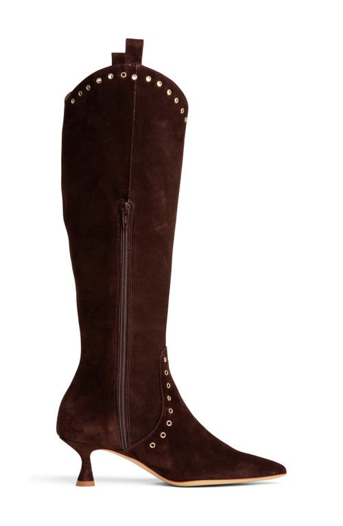 Beautiisoles Vanessa Pointed Toe Tall Boot In Brown