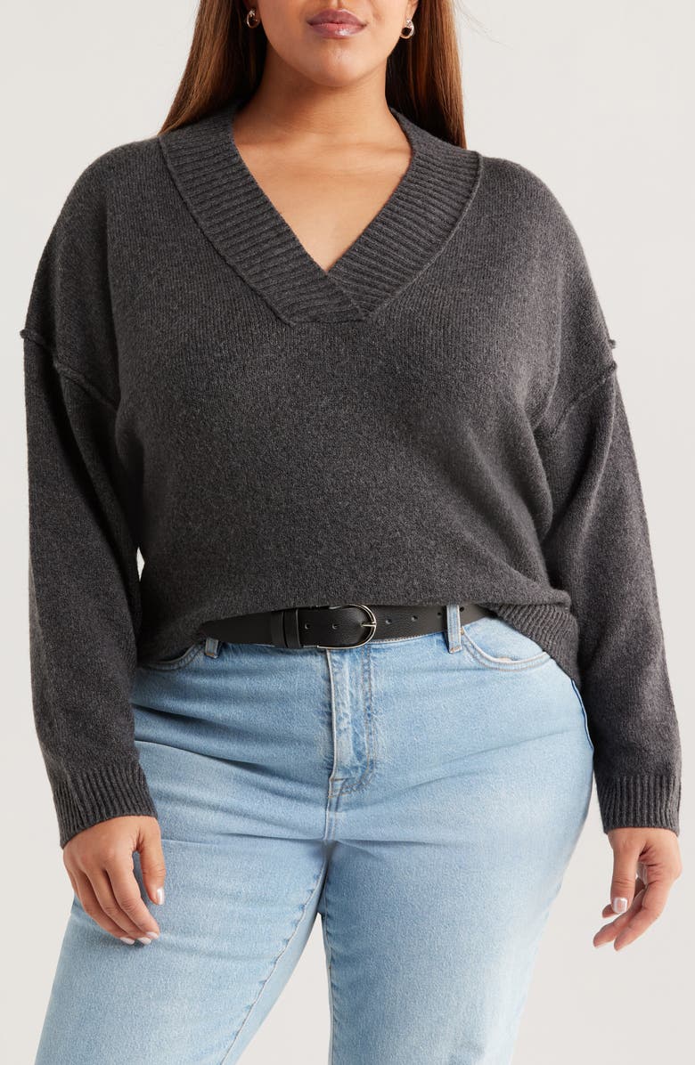 Treasure & Bond Slouchy V-Neck Sweater, Main, color,