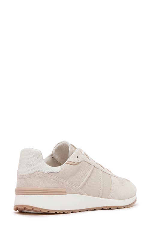 Frankie4 Raider Sneaker In Neutral