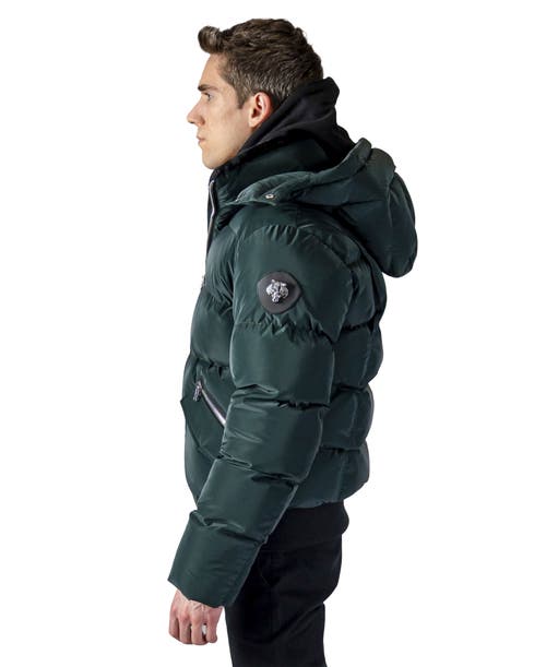 Woodpecker Woody Bomber Quilted Coat In Green