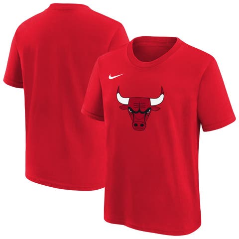 Youth Nike  Red Chicago Bulls Team Essential Logo T-Shirt