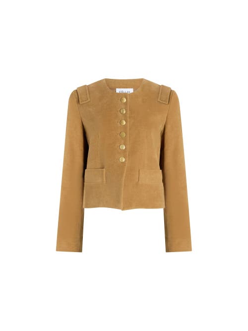 Callas Milano Aubrey Cropped Jacket In Brown