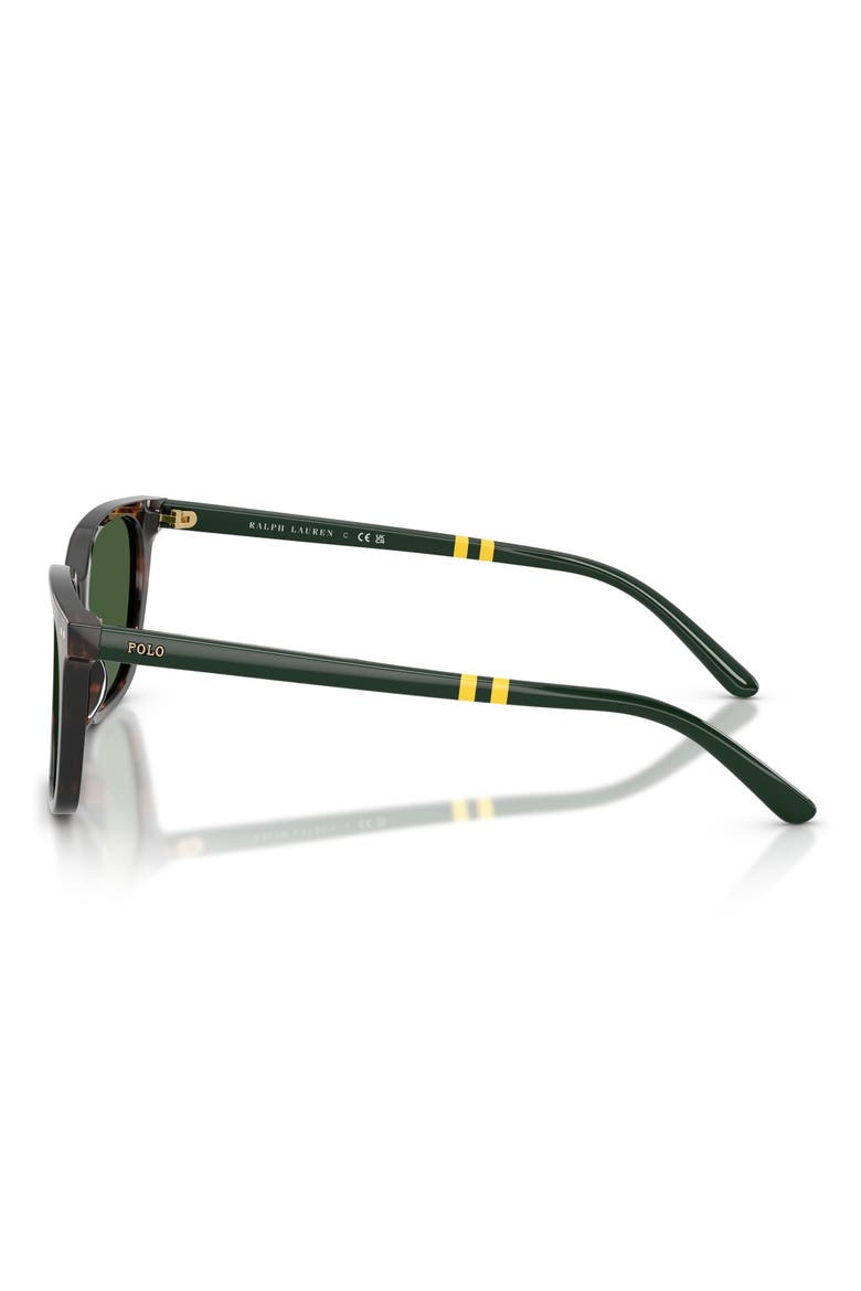 54mm Square Sunglasses, Alternate, color, SHINY DARK HAVANA / GREEN
