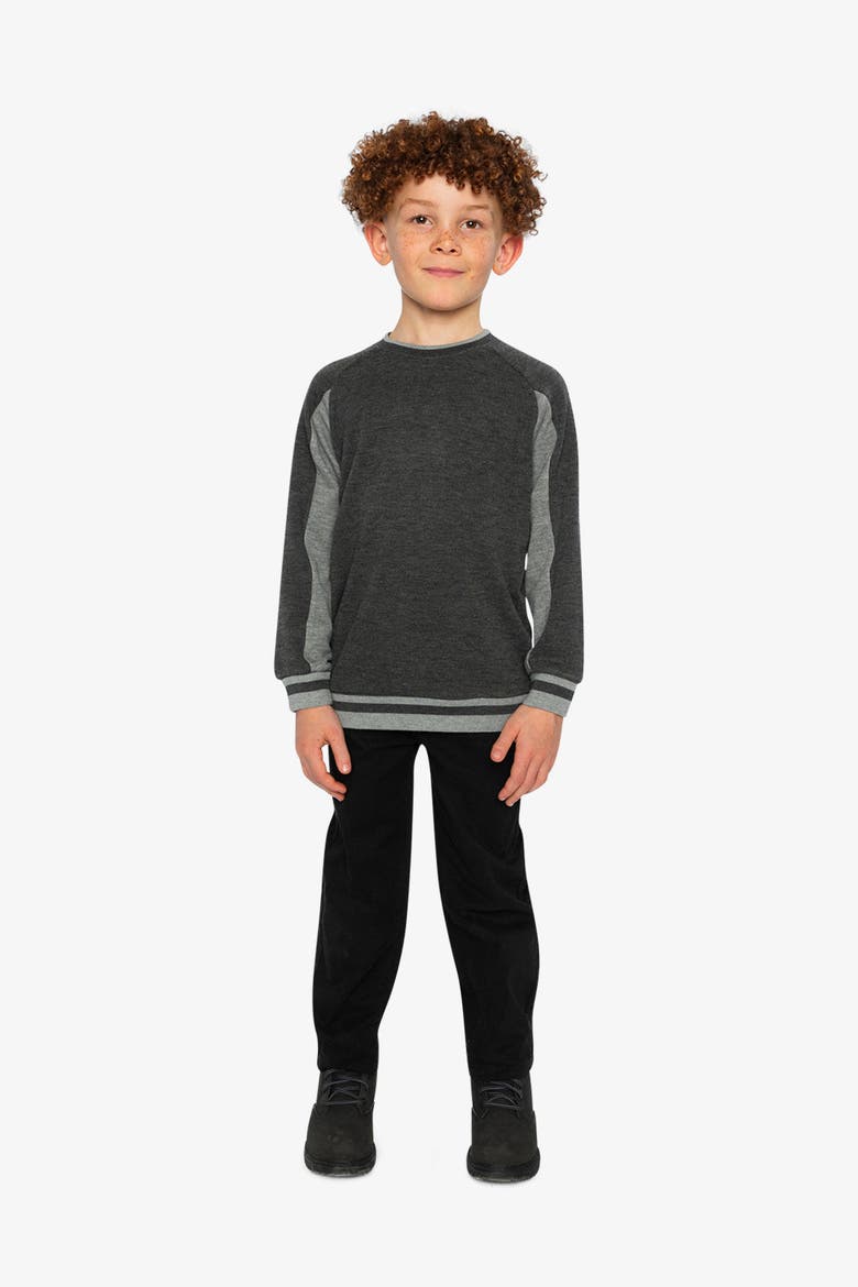 Ribbed Crew Neck Brushed Interior Sweatshirt, Alternate, color, Grey