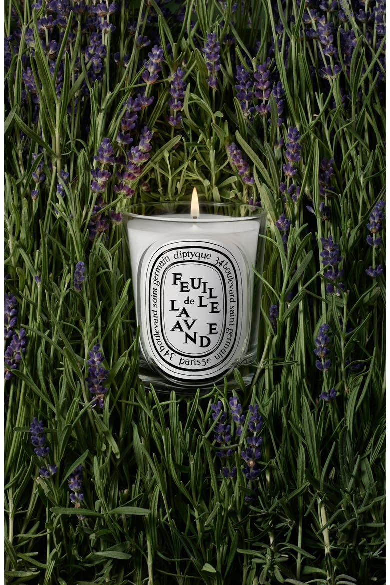 Feuille de Lavande (Lavender Leaf) Classic Candle, Alternate, color, NO COLOR