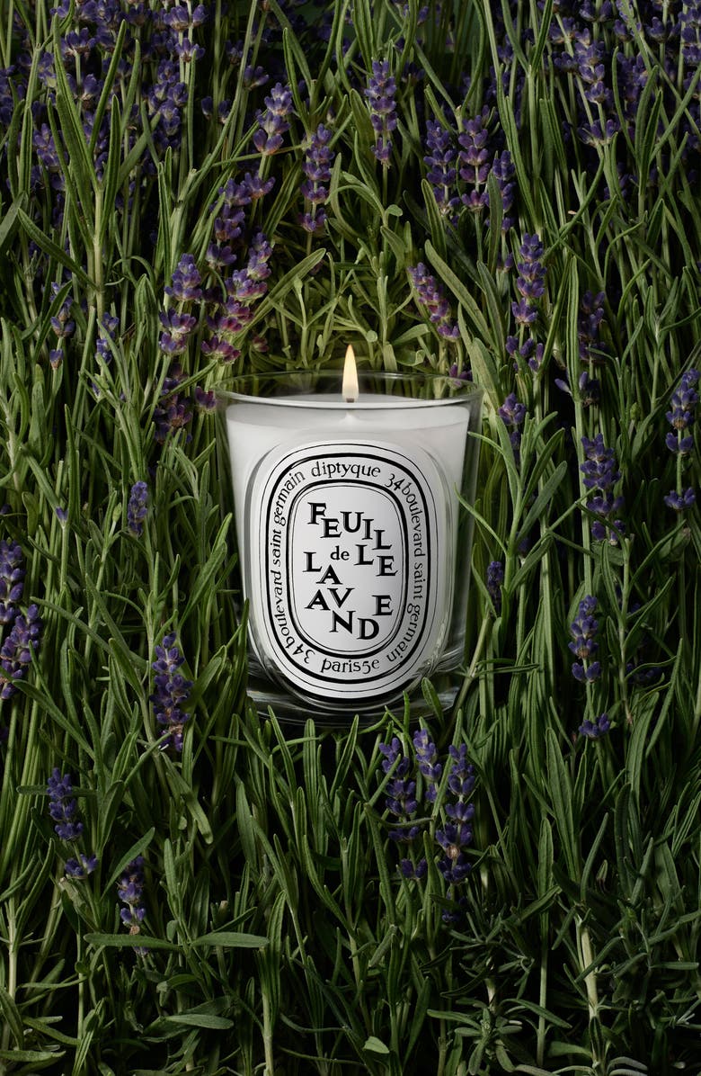 Diptyque Feuille de Lavande (Lavender Leaf) Classic Candle, Alternate, color, 