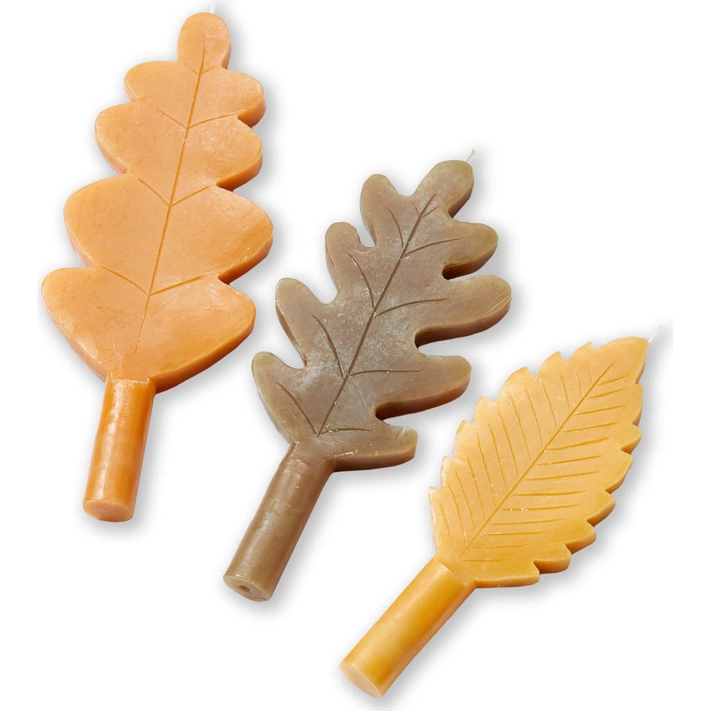 tag Fall Leaf Taper Candles Multicolor Thanksgiving Decor