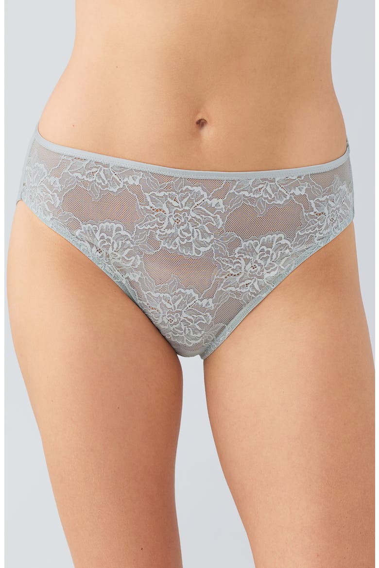 Full Bloom High Cut Panties, Main, color, BELGIAN BLOCK