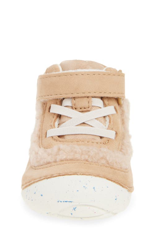 Stride Rite Kids' Cedar Sneaker In Brown