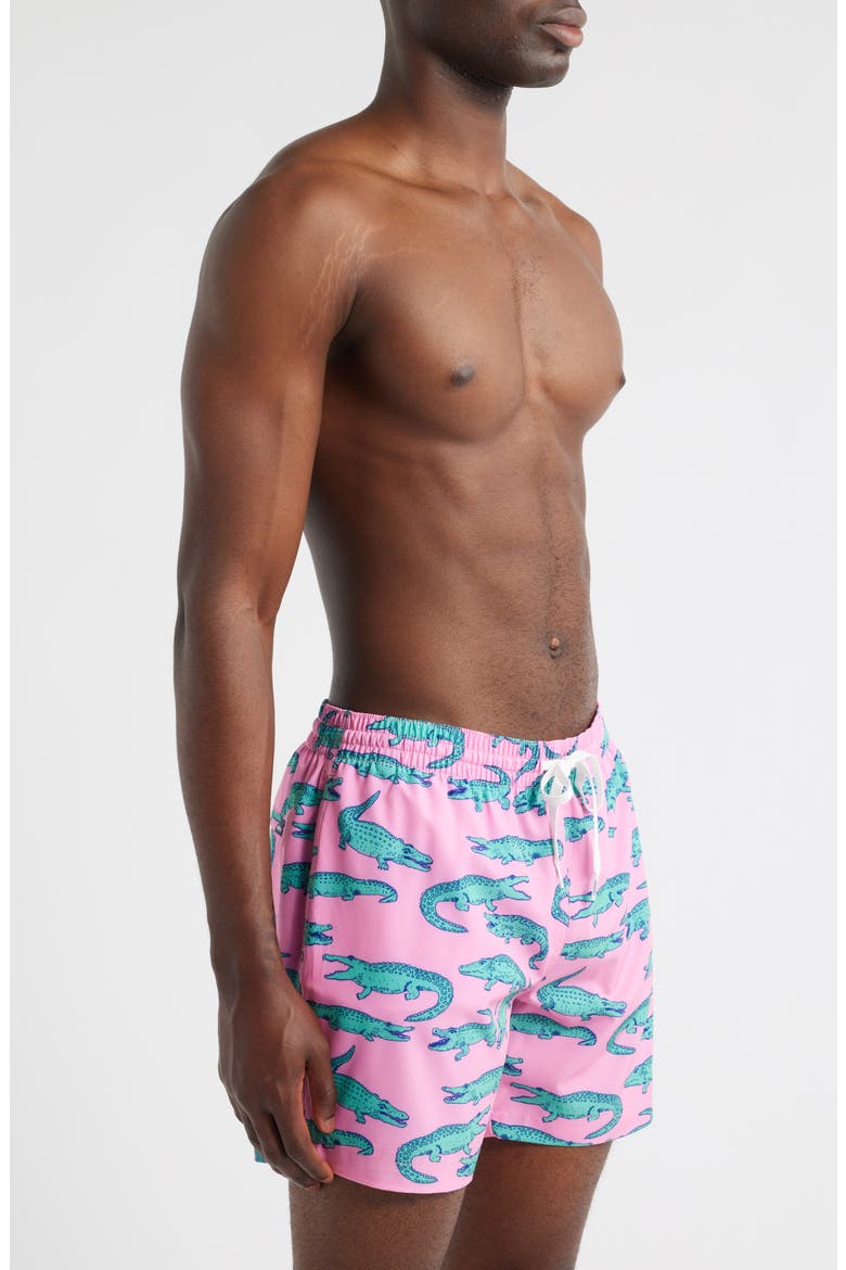 The Glades Lined 5.5-Inch Swim Trunks, Alternate, color, PINK