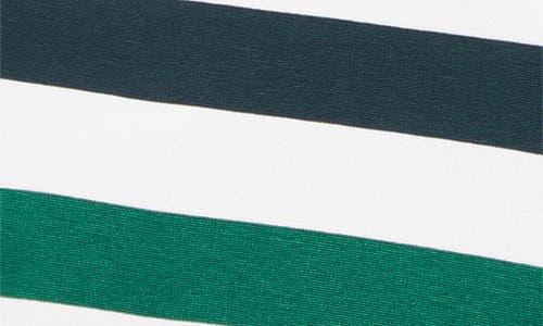 Max Mara Nelson Multistripe Jersey Shorts In Multi