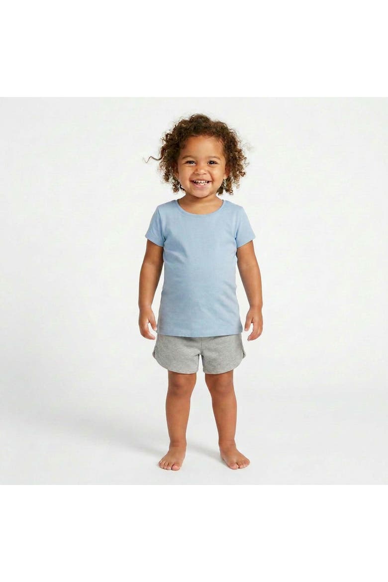 Toddler Rib Knit Short Sleeve 2 Pack, Alternate, color, Chambray & Ivory