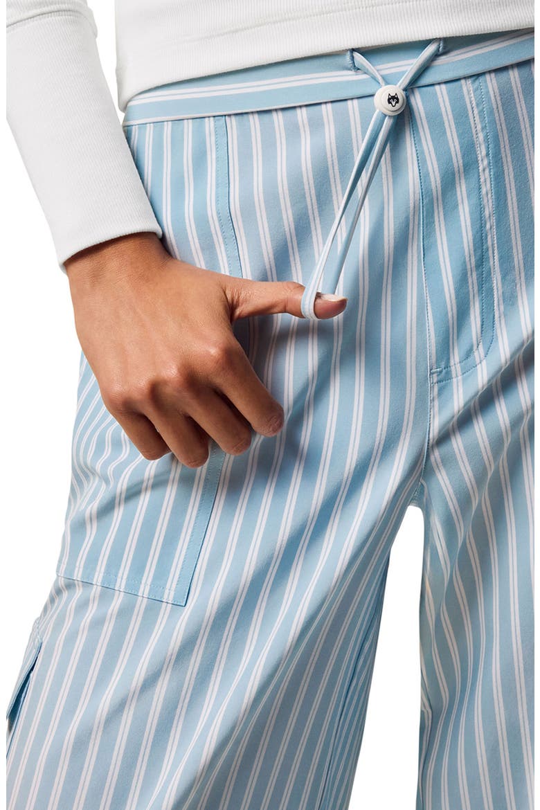 Windsor Stripe Ashe Cargo Pants, Alternate, color, AIR