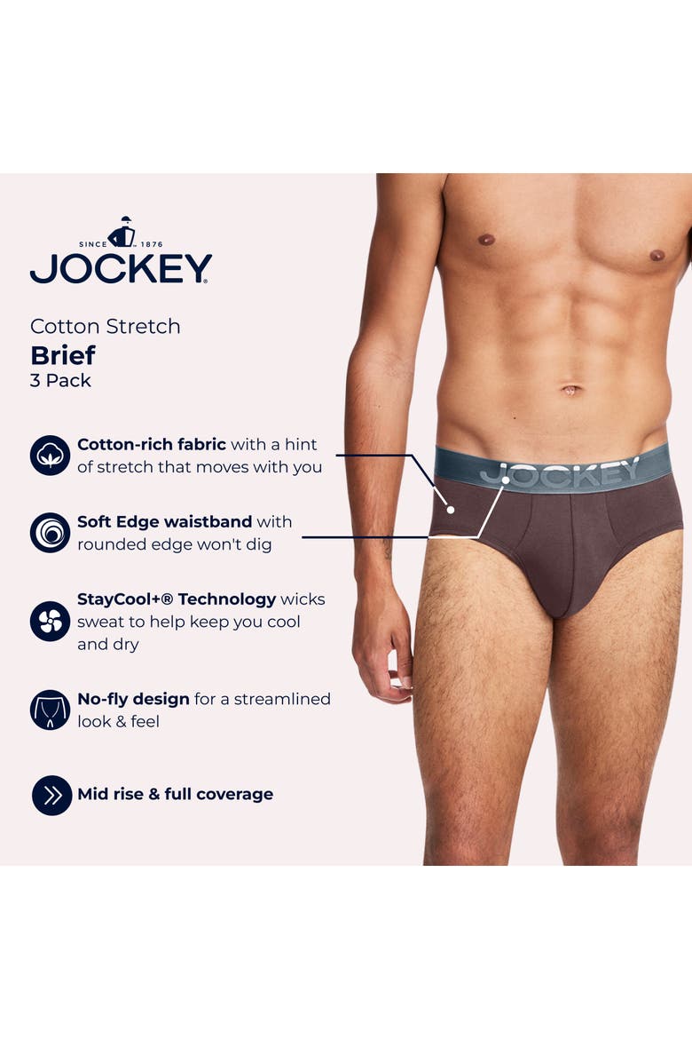 Mens Cotton Stretch Brief - 3 Pack, Alternate, color, Fun Forage