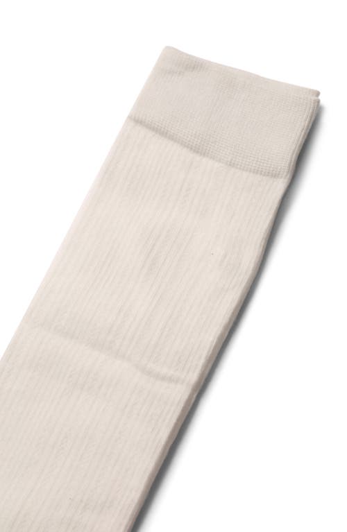 Belle & Bloom Midnights 2 Pack Socks In White